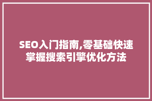 SEO入门指南,零基础快速掌握搜索引擎优化方法 小程序开发