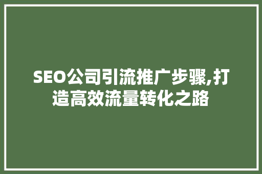 SEO公司引流推广步骤,打造高效流量转化之路 网站优化