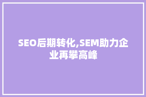 SEO后期转化,SEM助力企业再攀高峰