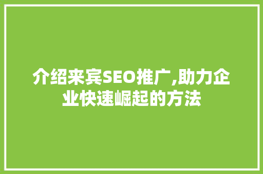 介绍来宾SEO推广,助力企业快速崛起的方法