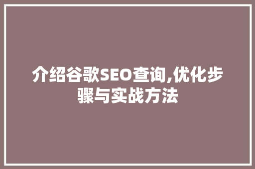 介绍谷歌SEO查询,优化步骤与实战方法 360搜优化