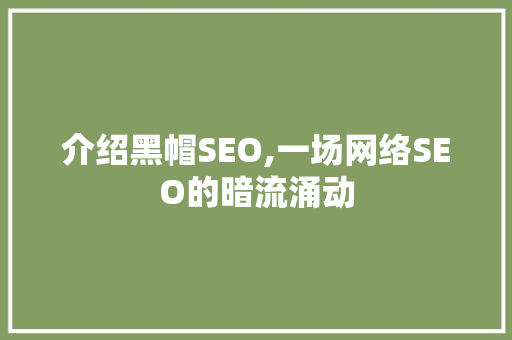 介绍黑帽SEO,一场网络SEO的暗流涌动
