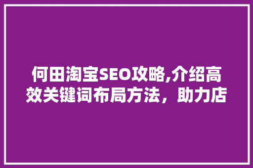 何田淘宝SEO攻略,介绍高效关键词布局方法，助力店铺流量翻倍！ 头条优化