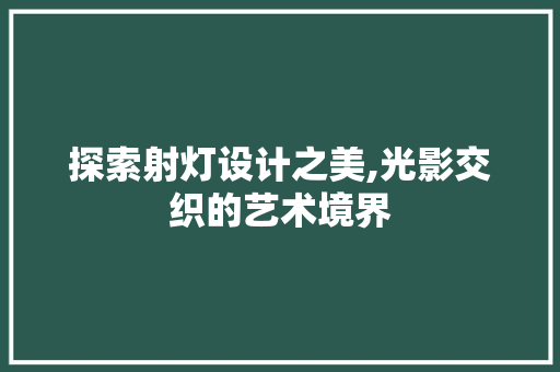 探索射灯设计之美,光影交织的艺术境界 探索射灯设计之美,光影交织的艺术境界 英文谷歌算法
