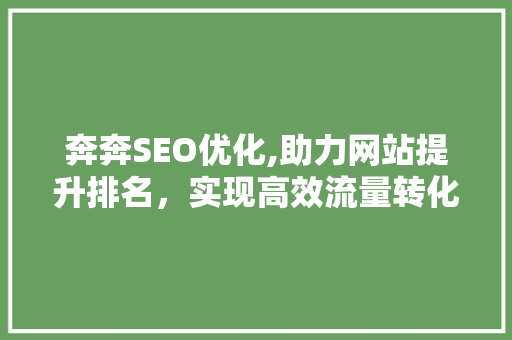 奔奔SEO优化,助力网站提升排名，实现高效流量转化