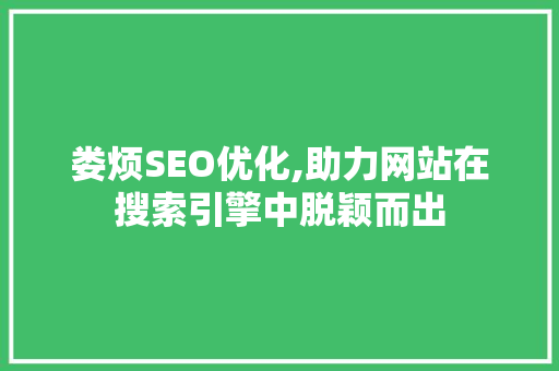 娄烦SEO优化,助力网站在搜索引擎中脱颖而出