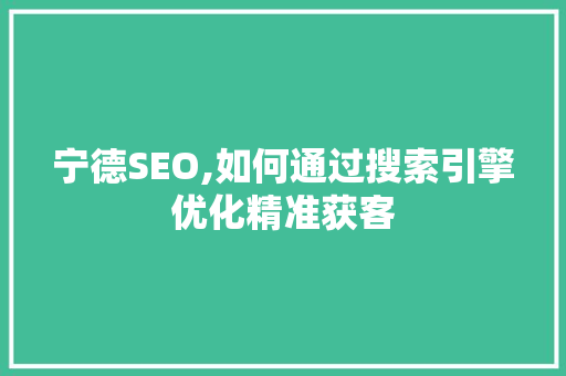 宁德SEO,如何通过搜索引擎优化精准获客