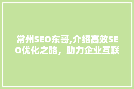 常州SEO东哥,介绍高效SEO优化之路，助力企业互联网腾飞