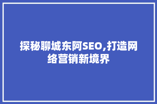 探秘聊城东阿SEO,打造网络营销新境界