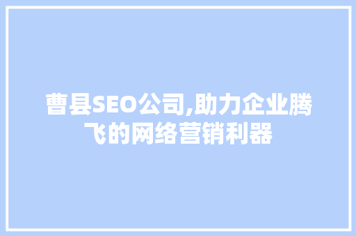 曹县SEO公司,助力企业腾飞的网络营销利器
