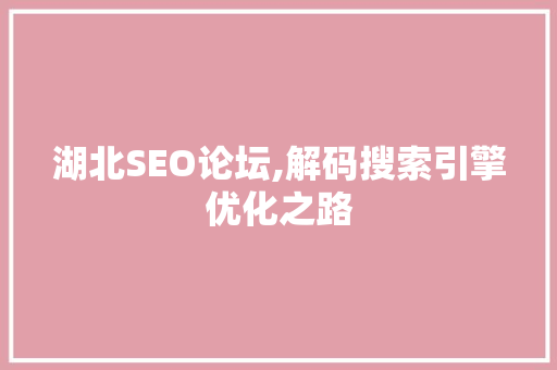 湖北SEO论坛,解码搜索引擎优化之路