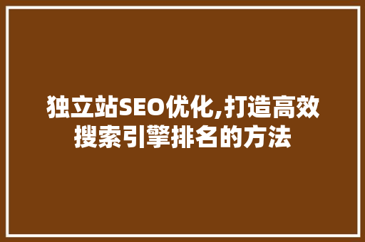 独立站SEO优化,打造高效搜索引擎排名的方法