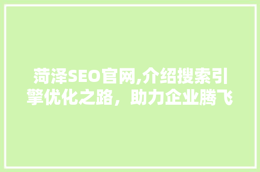 菏泽SEO官网,介绍搜索引擎优化之路，助力企业腾飞