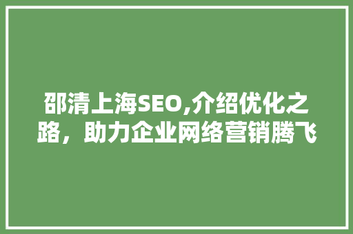 邵清上海SEO,介绍优化之路，助力企业网络营销腾飞