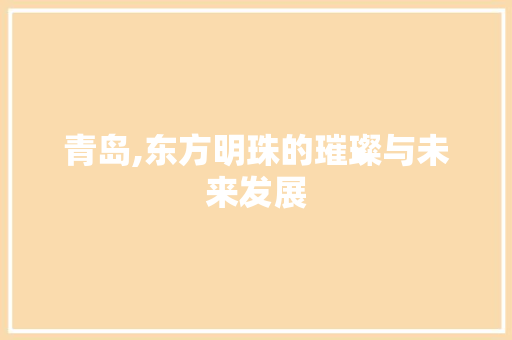 青岛,东方明珠的璀璨与未来发展 网站开发