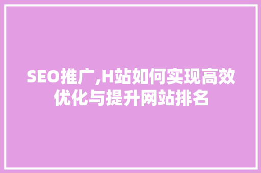 SEO推广,H站如何实现高效优化与提升网站排名