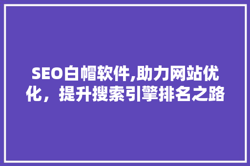 SEO白帽软件,助力网站优化，提升搜索引擎排名之路