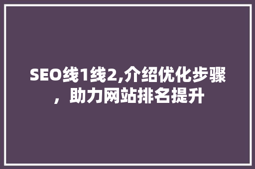SEO线1线2,介绍优化步骤，助力网站排名提升
