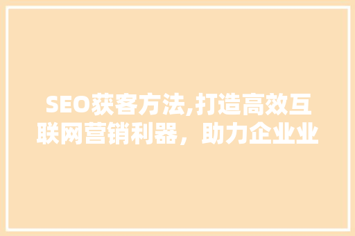 SEO获客方法,打造高效互联网营销利器，助力企业业绩腾飞