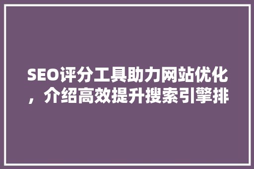 SEO评分工具助力网站优化，介绍高效提升搜索引擎排名之路