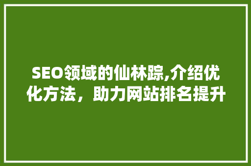 SEO领域的仙林踪,介绍优化方法，助力网站排名提升