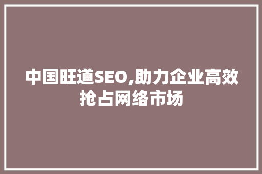中国旺道SEO,助力企业高效抢占网络市场