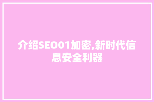 介绍SEO01加密,新时代信息安全利器