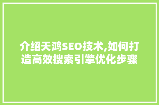 介绍天鸿SEO技术,如何打造高效搜索引擎优化步骤
