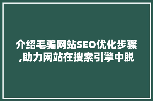 介绍毛骗网站SEO优化步骤,助力网站在搜索引擎中脱颖而出