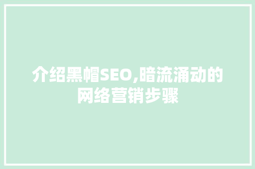 介绍黑帽SEO,暗流涌动的网络营销步骤 AI技术学习