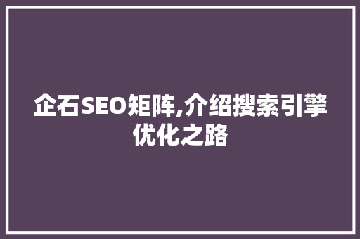 企石SEO矩阵,介绍搜索引擎优化之路