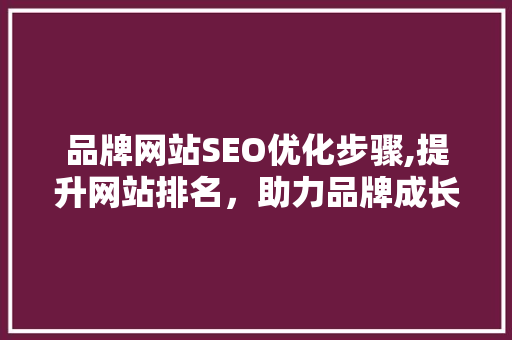 品牌网站SEO优化步骤,提升网站排名，助力品牌成长