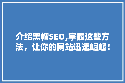 介绍黑帽SEO,掌握这些方法，让你的网站迅速崛起！ 小程序开发