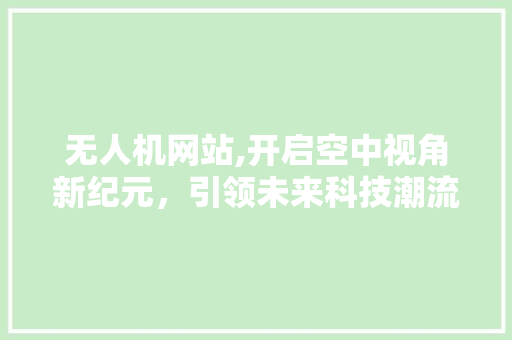 无人机网站,开启空中视角新纪元，引领未来科技潮流