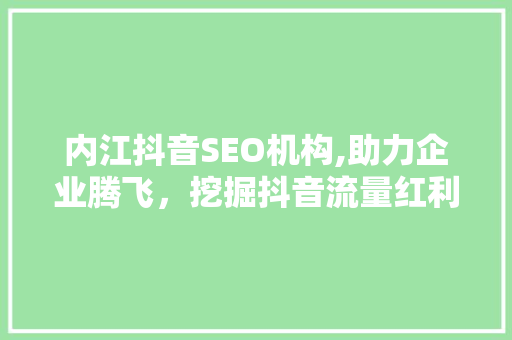 内江抖音SEO机构,助力企业腾飞，挖掘抖音流量红利