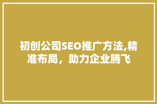 初创公司SEO推广方法,精准布局，助力企业腾飞