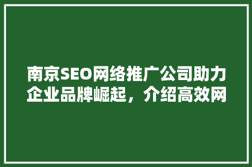 南京SEO网络推广公司助力企业品牌崛起，介绍高效网络营销之路