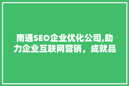 南通SEO企业优化公司,助力企业互联网营销，成就品牌辉煌 网站优化