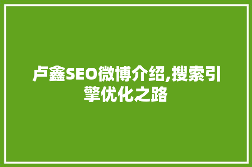 卢鑫SEO微博介绍,搜索引擎优化之路