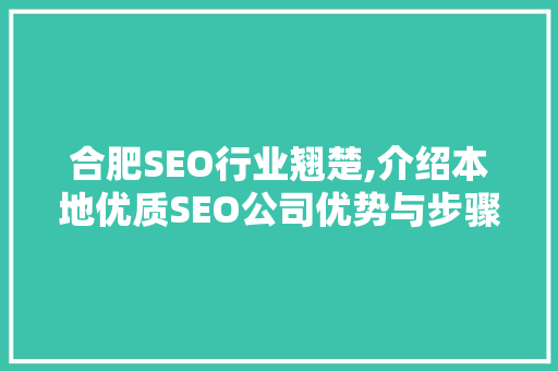 合肥SEO行业翘楚,介绍本地优质SEO公司优势与步骤 百度算法