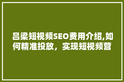 吕梁短视频SEO费用介绍,如何精准投放，实现短视频营销最大化