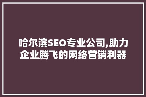 哈尔滨SEO专业公司,助力企业腾飞的网络营销利器