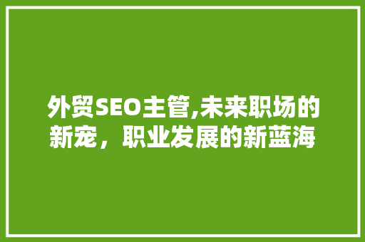 外贸SEO主管,未来职场的新宠，职业发展的新蓝海