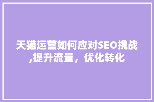天猫运营如何应对SEO挑战,提升流量，优化转化