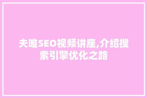 夫唯SEO视频讲座,介绍搜索引擎优化之路