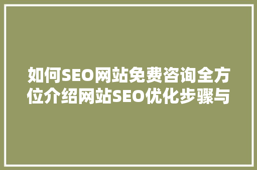 如何SEO网站免费咨询全方位介绍网站SEO优化步骤与方法