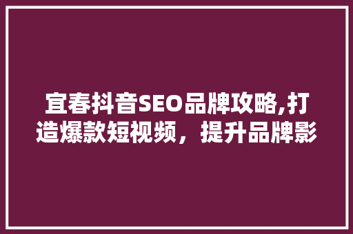宜春抖音SEO品牌攻略,打造爆款短视频，提升品牌影响力