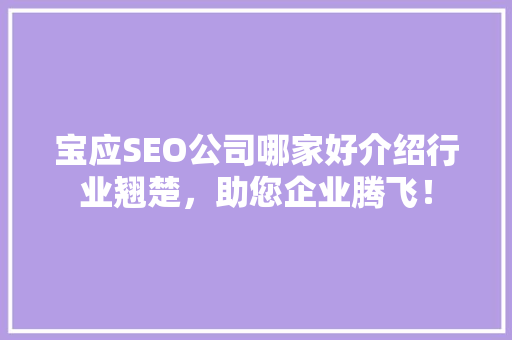 宝应SEO公司哪家好介绍行业翘楚，助您企业腾飞！ 英文谷歌算法