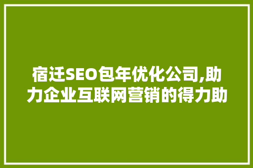 宿迁SEO包年优化公司,助力企业互联网营销的得力助手