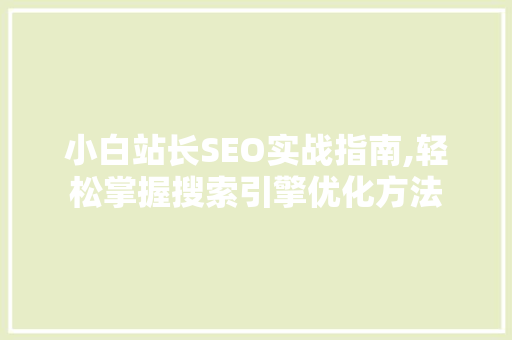 小白站长SEO实战指南,轻松掌握搜索引擎优化方法 网站优化